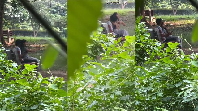 Delhi Teen Couple In Park Viral Xx Video – Xxx Videos